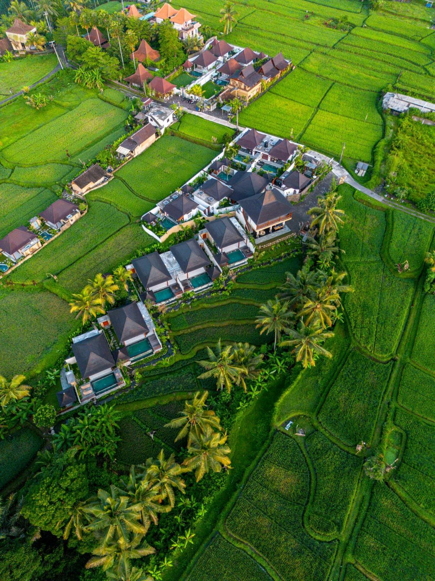 Dewi Kunti Villa Tegallalang  Exterior foto